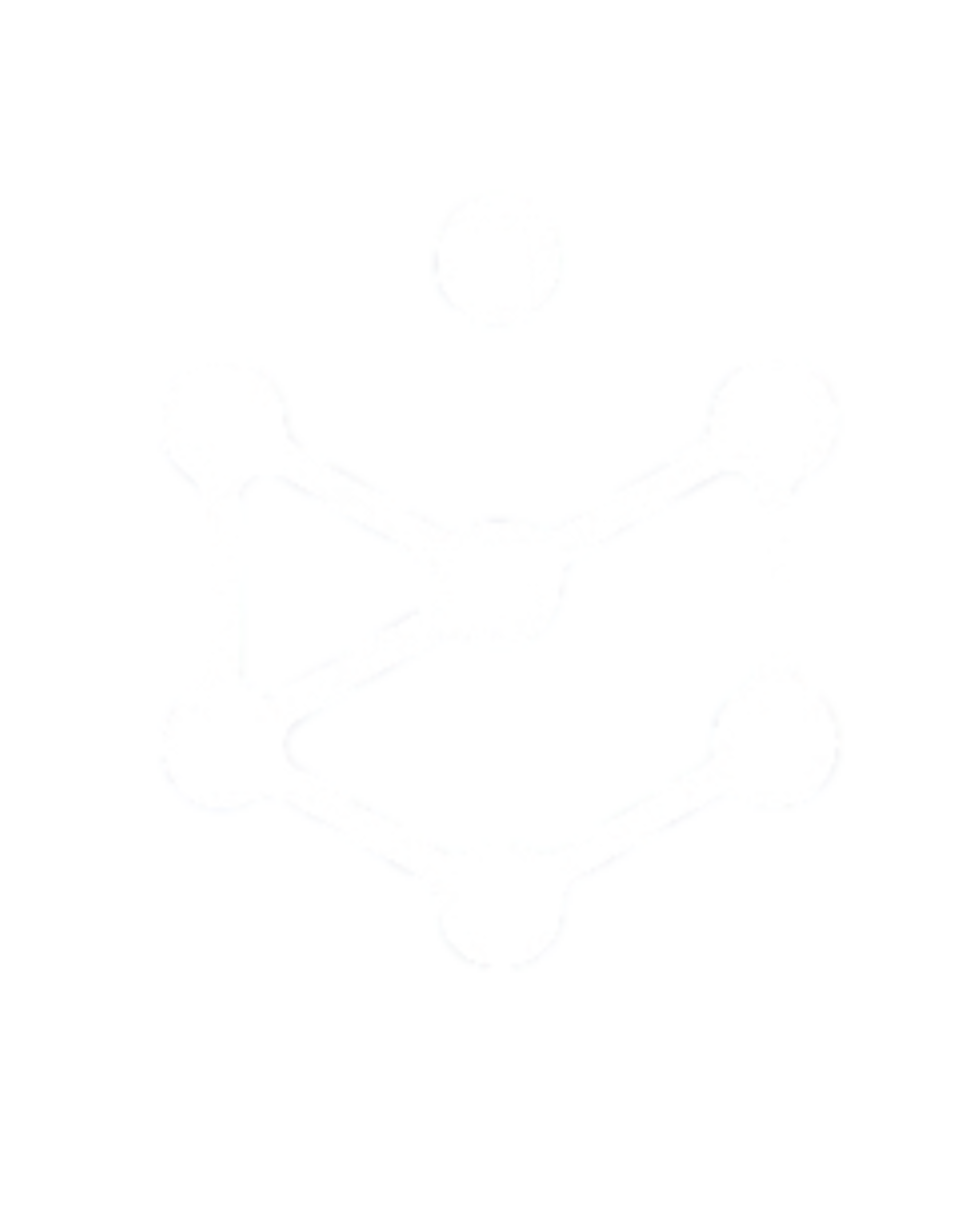 Logotipo da BETADEV versão secundária